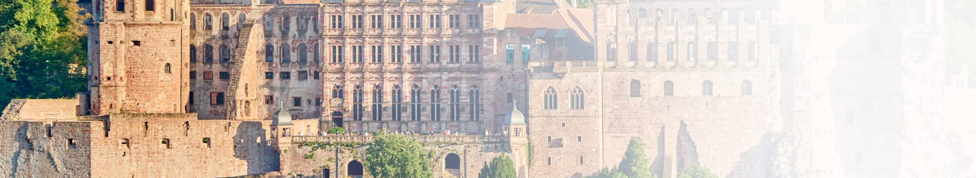 Luftaufnahme vom Schloss in Heidelberg