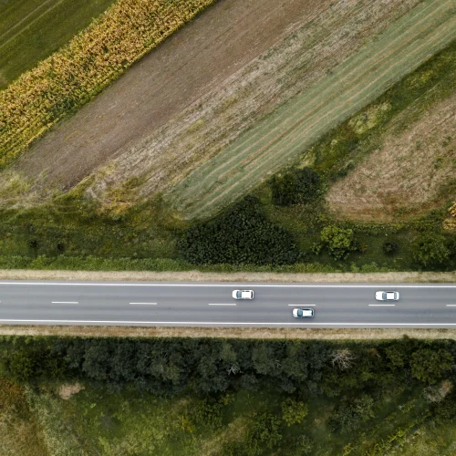 Drei weiße Autos fahren auf einer Landstraße